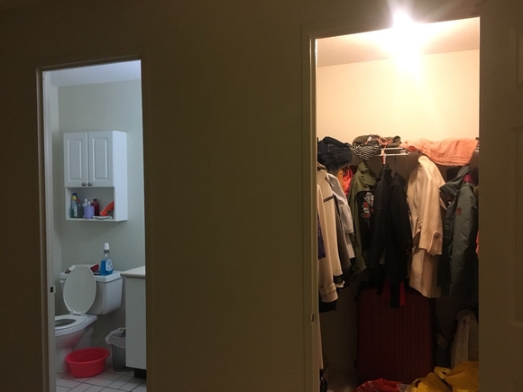 独立卫生间和步入式衣橱